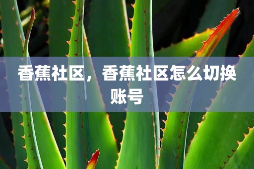 香蕉社区，香蕉社区怎么切换账号