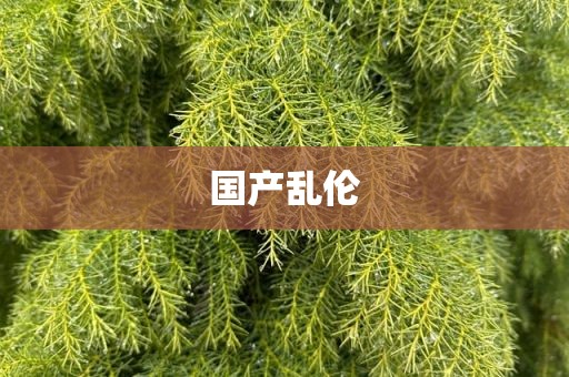 国产乱伦