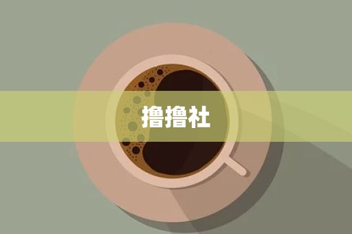 撸撸社