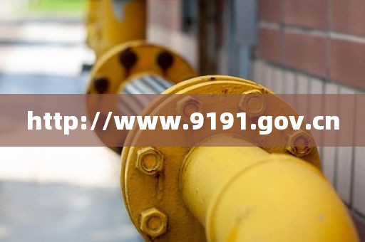 http://www.9191.gov.cn