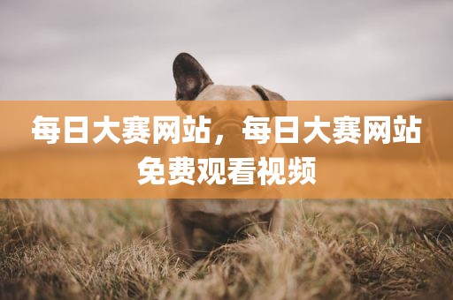 每日大赛网站，每日大赛网站免费观看视频