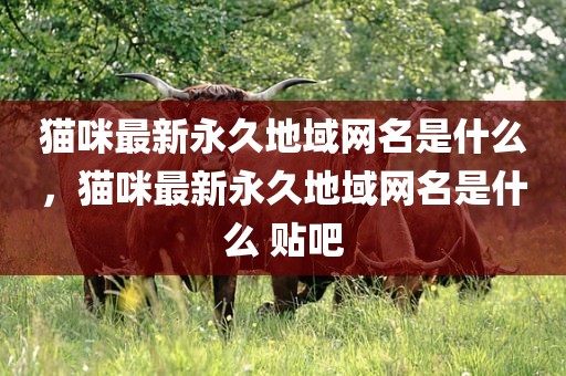 猫咪最新永久地域网名是什么，猫咪最新永久地域网名是什么 贴吧