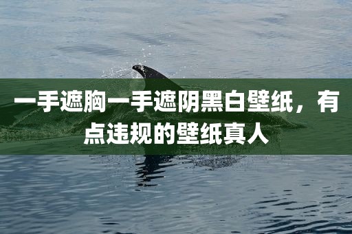 一手遮胸一手遮阴黑白壁纸，有点违规的壁纸真人