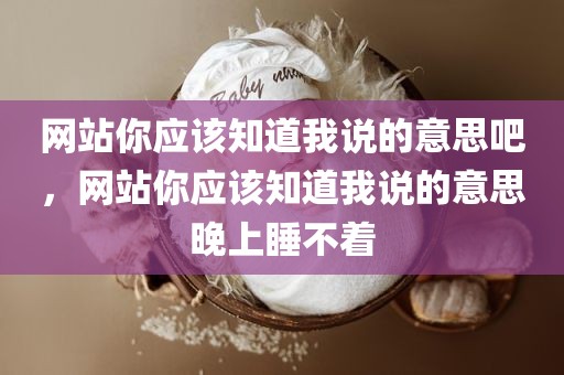 网站你应该知道我说的意思吧，网站你应该知道我说的意思晚上睡不着
