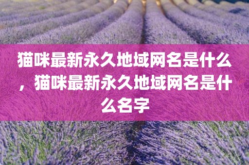 猫咪最新永久地域网名是什么，猫咪最新永久地域网名是什么名字