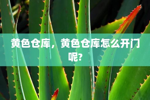 黄色仓库，黄色仓库怎么开门呢?