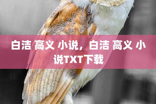 白洁 高义 小说，白洁 高义 小说TXT下载