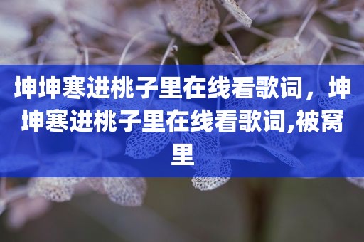 坤坤寒进桃子里在线看歌词，坤坤寒进桃子里在线看歌词,被窝里