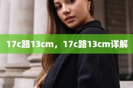 17c路13cm，17c路13cm详解