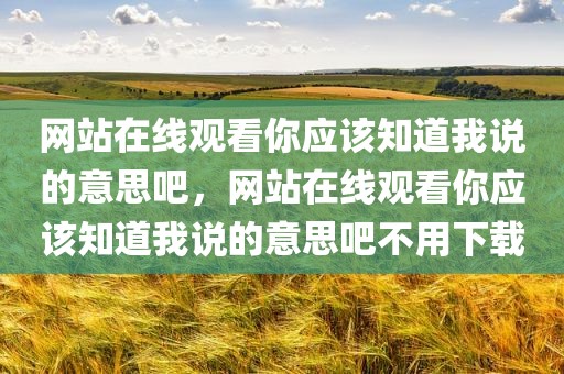 网站在线观看你应该知道我说的意思吧，网站在线观看你应该知道我说的意思吧不用下载