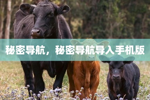 秘密导航，秘密导航导入手机版
