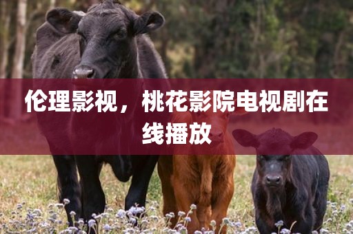 伦理影视，桃花影院电视剧在线播放