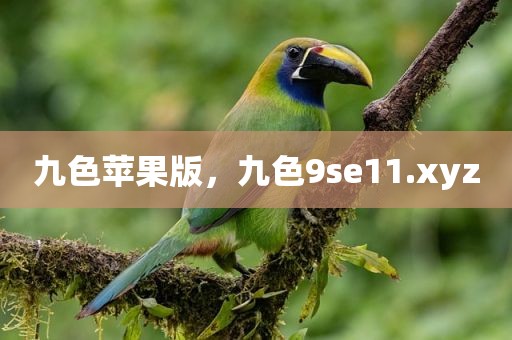 九色苹果版，九色9se11.xyz