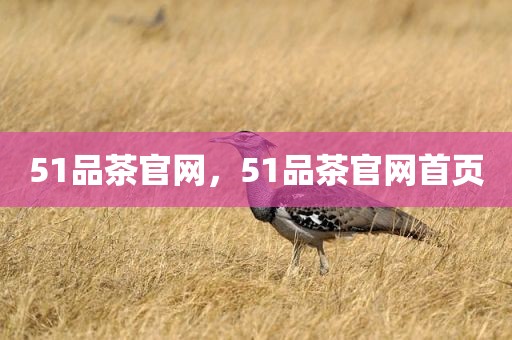 51品茶官网，51品茶官网首页