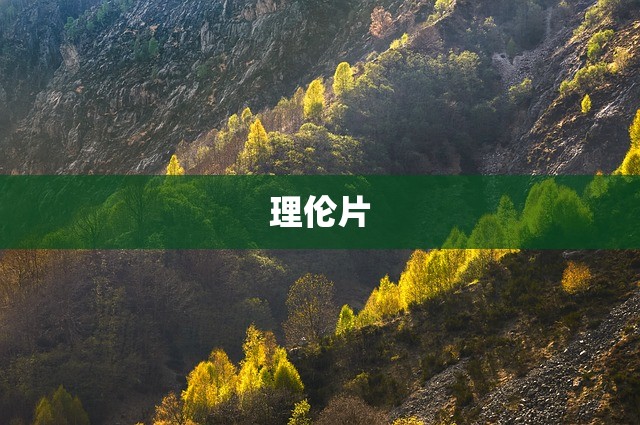 理伦片