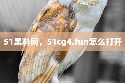 51黑料网，51cg4.fun怎么打开