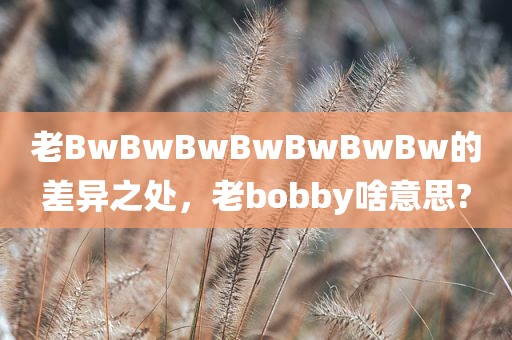 老BwBwBwBwBwBwBw的差异之处，老bobby啥意思?