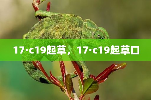 17·c19起草，17·c19起草口