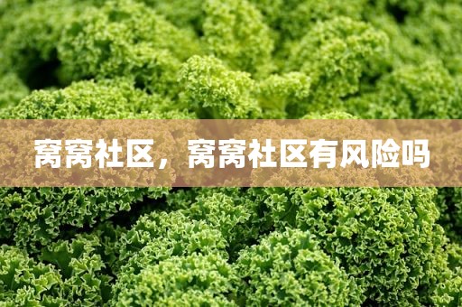 窝窝社区，窝窝社区有风险吗