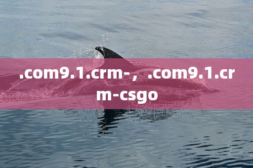 .com9.1.crm-，.com9.1.crm-csgo