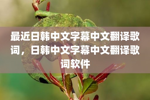 最近日韩中文字幕中文翻译歌词，日韩中文字幕中文翻译歌词软件