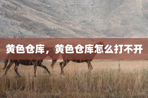 黄色仓库，黄色仓库怎么打不开