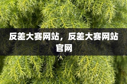 反差大赛网站，反差大赛网站官网
