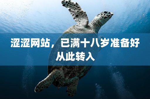 涩涩网站，已满十八岁准备好从此转入