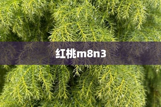 红桃m8n3
