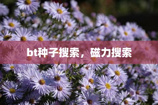 bt种子搜索，磁力搜索