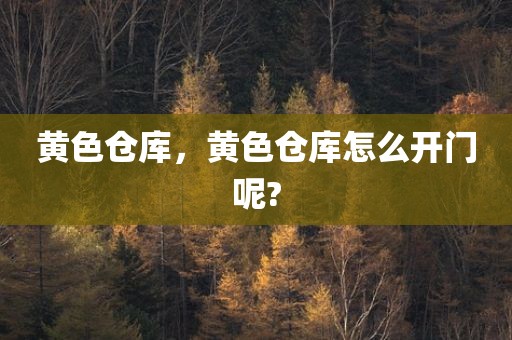 黄色仓库，黄色仓库怎么开门呢?