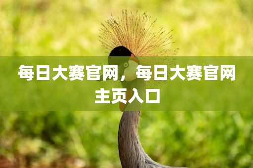 每日大赛官网，每日大赛官网主页入口