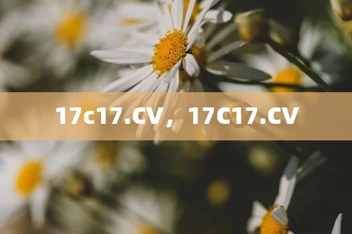 17c17.CV，17C17.CV