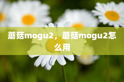 蘑菇mogu2，蘑菇mogu2怎么用