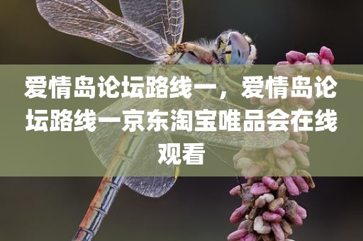 爱情岛论坛路线一，爱情岛论坛路线一京东淘宝唯品会在线观看