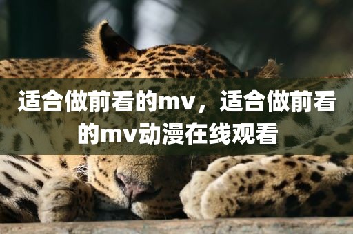 适合做前看的mv，适合做前看的mv动漫在线观看