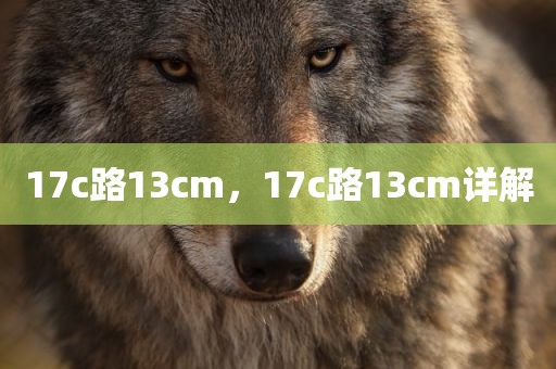 17c路13cm，17c路13cm详解
