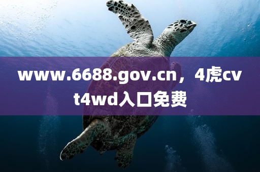 www.6688.gov.cn，4虎cvt4wd入口免费