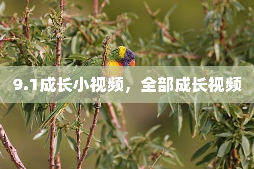 9.1成长小视频，全部成长视频