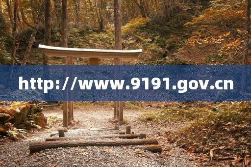 http://www.9191.gov.cn