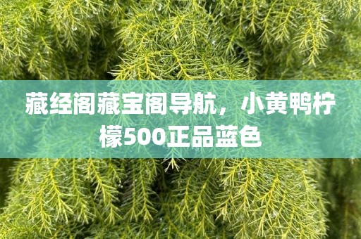 藏经阁藏宝阁导航，小黄鸭柠檬500正品蓝色