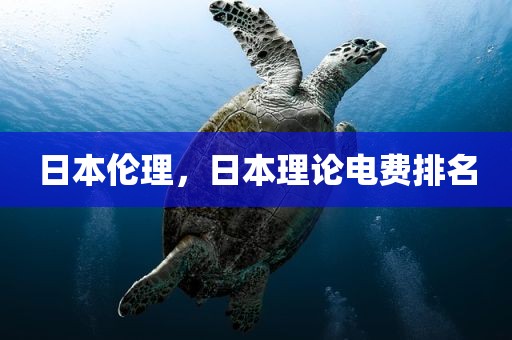 日本伦理，日本理论电费排名