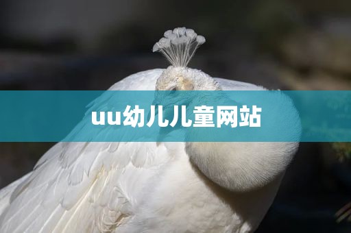uu幼儿儿童网站