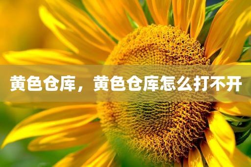 黄色仓库，黄色仓库怎么打不开