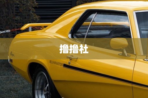 撸撸社