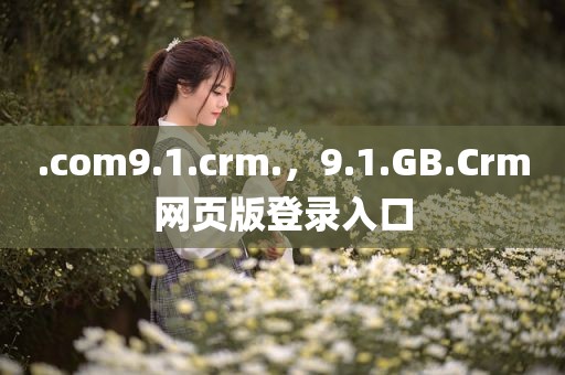 .com9.1.crm.，9.1.GB.Crm网页版登录入口