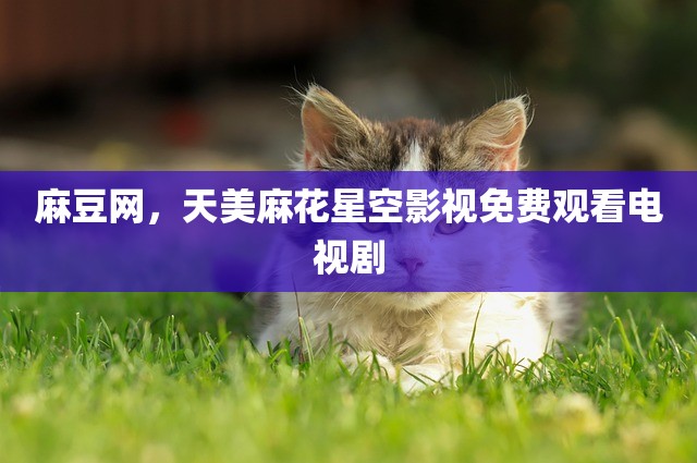 麻豆网，天美麻花星空影视免费观看电视剧