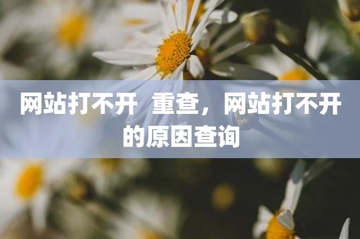 网站打不开  重查，网站打不开的原因查询