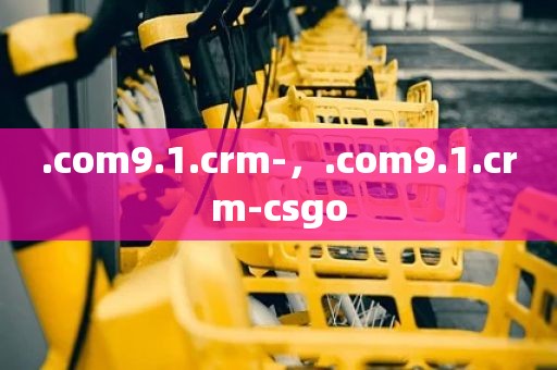 .com9.1.crm-，.com9.1.crm-csgo