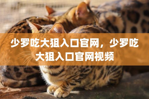 少罗吃大狙入口官网，少罗吃大狙入口官网视频